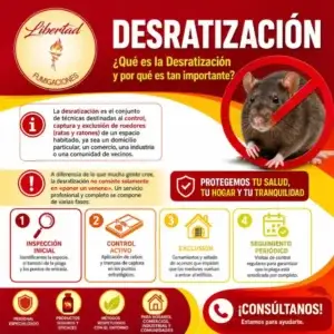 Desratización: La Guía Definitiva para Proteger tu Hogar, comercio e industria de Ratas y Ratones