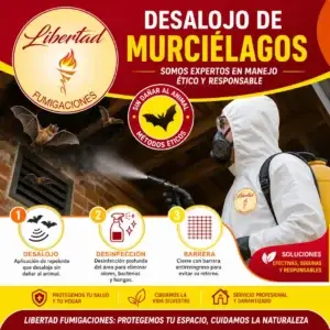 Desalojo de Murciélagos sin Dañarlos | Libertad Fumigaciones
