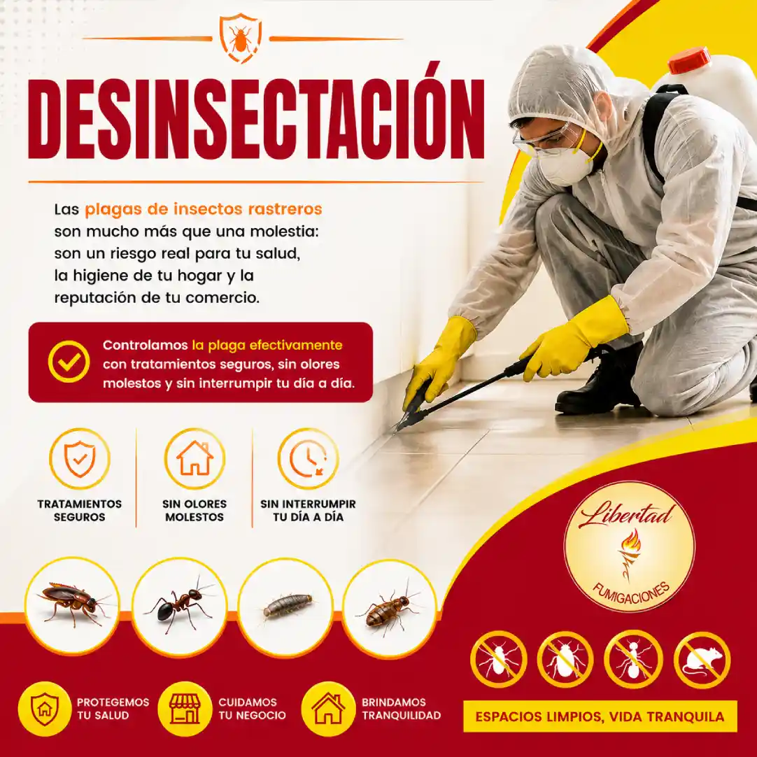 Desinsectación Profesional: Controlamos Insectos Rastreros de Tu Hogar o Negocio